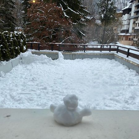 Mont Blanc View Chamonix Apartment Екстер'єр фото