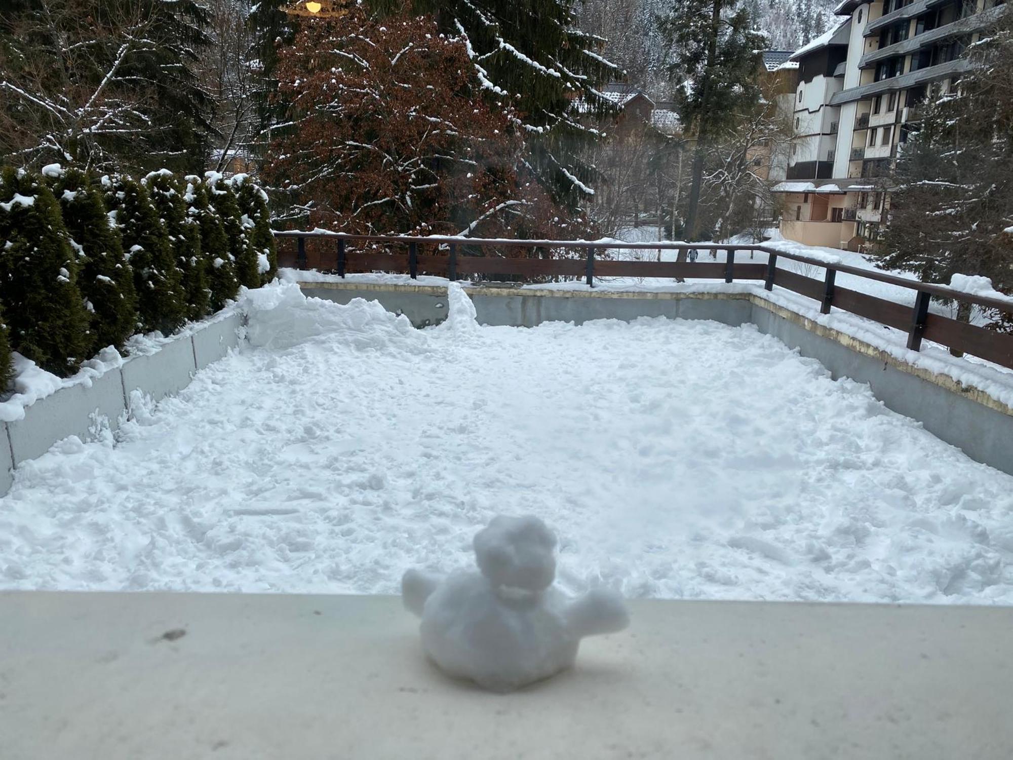 Mont Blanc View Chamonix Apartment Екстер'єр фото